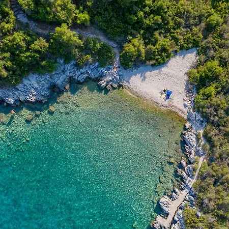 Jean Luc By About Paxos جايوس